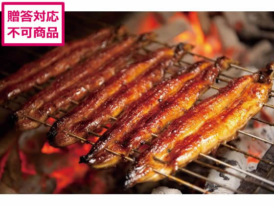 九州産うなぎ蒲焼切身3枚&めしの具(ごぼう入)セット 九州産うなぎ蒲焼切身3枚&めしの具(ごぼう入)セット