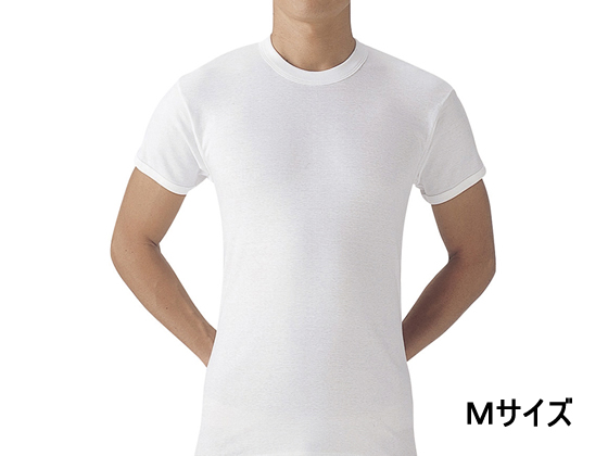 GUNZE �a�m ���炩����2���g �����ێ�z���C�gM SV61142