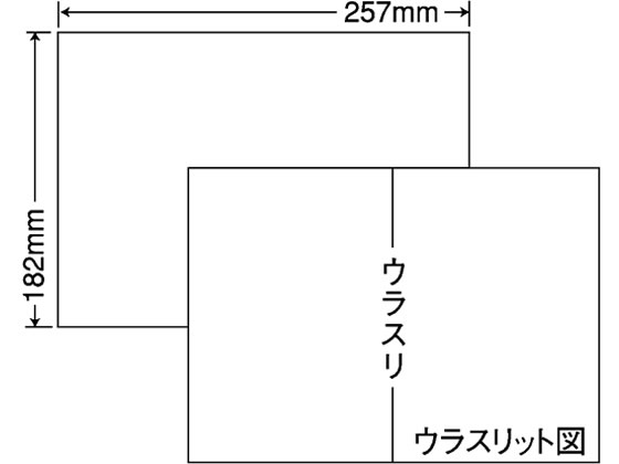 NANA ラベルシールナナコピーB5 ノーカット 再剥離 1000シート C1B5F