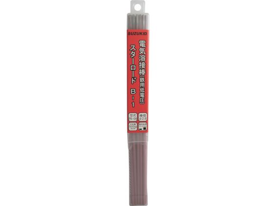SUZUKID nږ_ X^[[hB-1 d|p 2.5Ӂ~500g