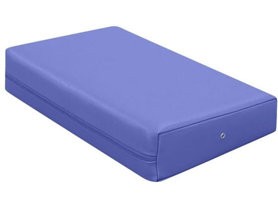 ���c�x�b�h �J���[�}�b�T�[�W�}�N�� ���C�g�u���[ TB-77C-05