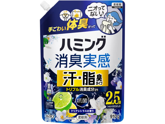 KAO �n�~���O���L���� ���E���L�^�C�v �V�g���X�̍��� �l�� 910g