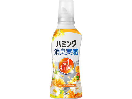 KAO �n�~���O���L���� �����b�N�X&�t���[�����̍��� �{�� 510g