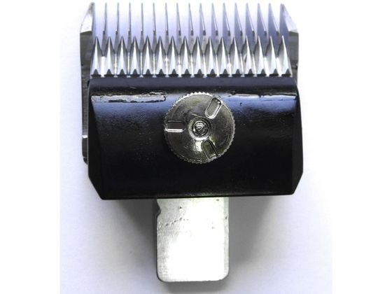 �s�� Bloom�o���J���p�֐n 8mm