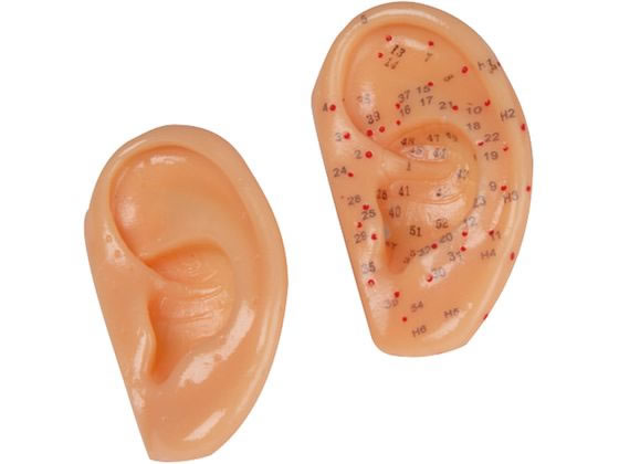 Erler-Zimmer �ڃ��f�� ���ڗp 8-635-01