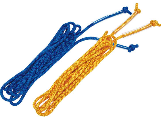 TOEI LIGHT �g�[�G�C���C�g �J���[�_�u���_�b�`�V���O���X �� �� 2�{1�g �S��3.65m