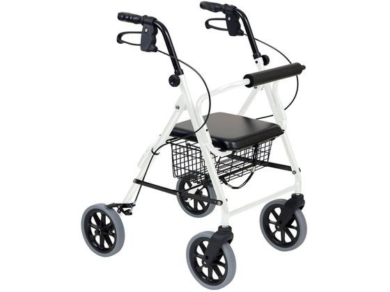 �|�� ���s�� �n�b�s�[II �g�[�� �p�[���z���C�g 117084