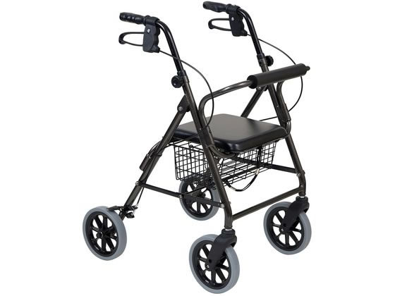 �|�� ���s�� �n�b�s�[II �g�[�� �_�[�N�O���[���^���b�N 117070