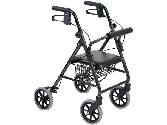 �|�� ���s�� �n�b�s�[ �~�j�g�[�� �_�[�N�O���[���^���b�N 117071