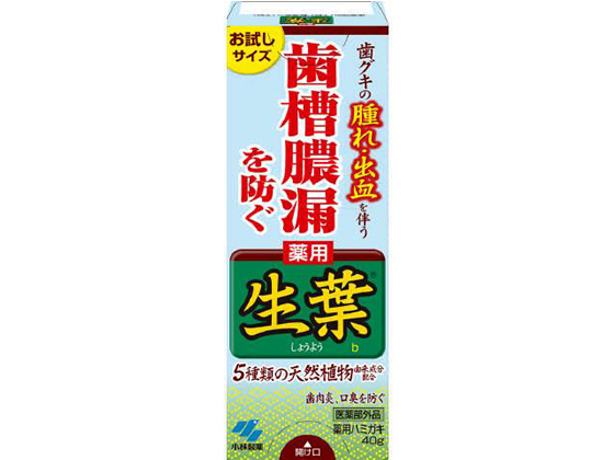 小林製薬 生葉(しょうよう)b40g