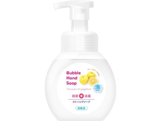 第一石鹸 第一薬用泡ハンドソープ本体250mL