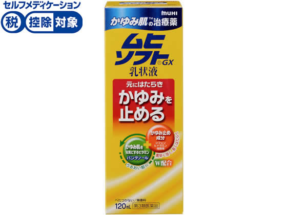 池田模範堂 かゆみ肌の治療薬ムヒソフト乳状液GX120ml【第3類医薬品】