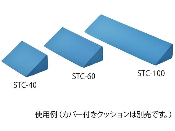 �A�Y���� �̈ʌŒ�N�b�V���� 600mm�p �����J�o�[ 8-8680-11