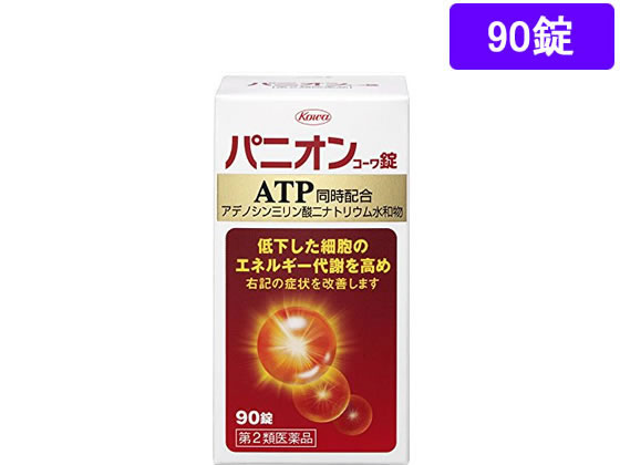 興和 パニオンコーワ錠 90錠【第2類医薬品】