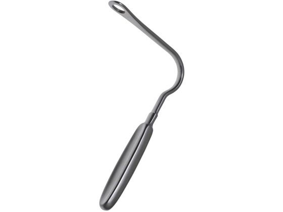 ���{�t���b�c���f�B�R �㈳�q(�t�����P����)20-2908-00 E502-0320(16X11CM)