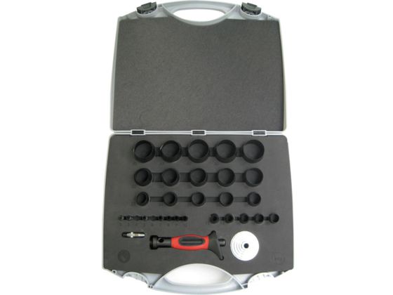 RACODON |` 29Zbg RJ250P