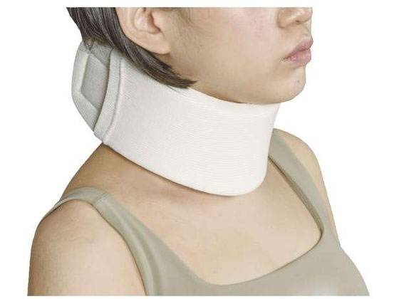 ���{�q�� �G�[�X�J���[�\�t�g(LL) NE-254(1�R�C��)