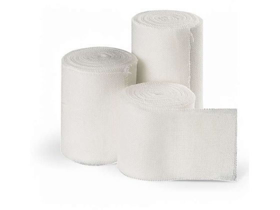 ���{�q�� ���t��� 6�� NE-366(60�J���C��)