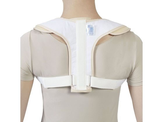 �|�� �j���[�g���r�N���o���h LL 037525