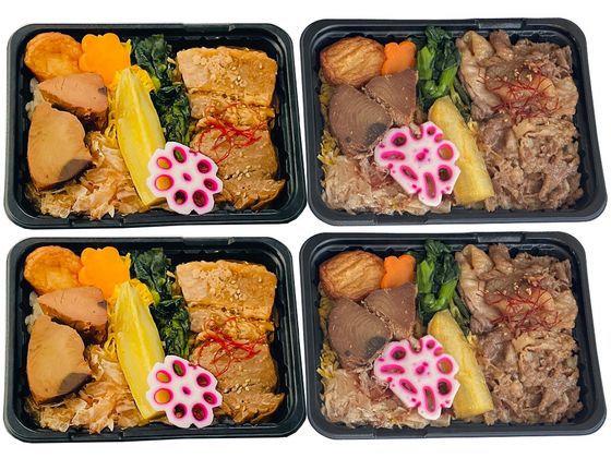 松栄軒 【旅サラダ】 松栄軒 鹿児島食材の駅弁2種セット(各2個) s001081 松栄軒 【旅サラダ】 松栄軒 鹿児島食材の駅弁2種セット(各2個) s001081