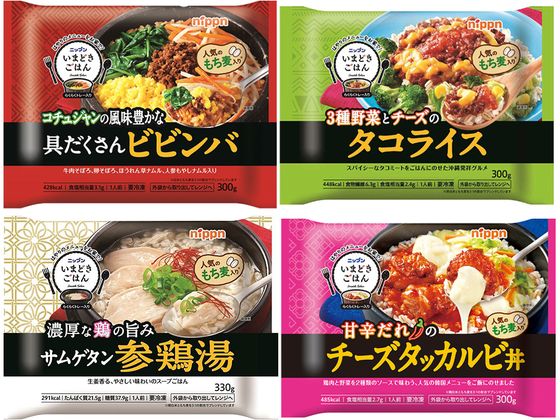 いまどきごはん 世界のプレート 4品 詰め合わせ セット s000303