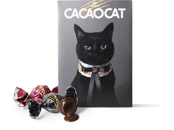 DADACA CACAOCATミックスCAT9個 DADACA CACAOCATミックスCAT9個