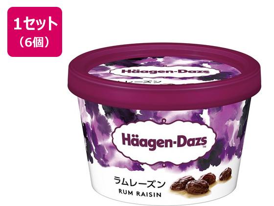 ハーゲンダッツ ミニカップ ラムレーズン 110ml×6個 ハーゲンダッツ ミニカップ ラムレーズン 110ml×6個