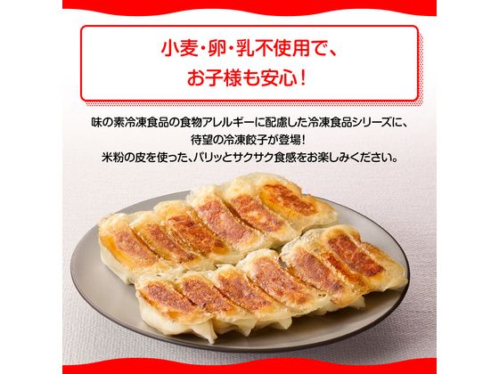 味の素 米粉でつくったギョーザ 12個 味の素 米粉でつくったギョーザ 12個