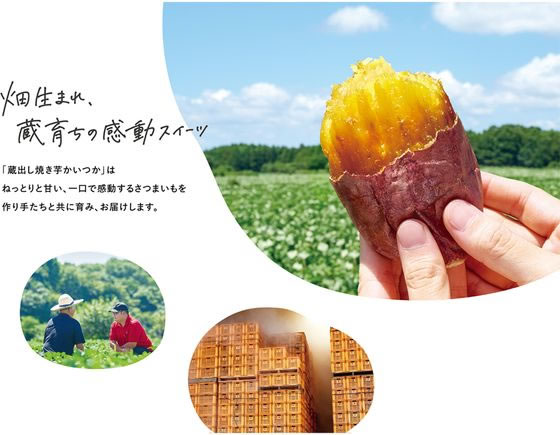 茨城県産 シルク天使 焼き芋 500g×3袋(しっとりなめらか食感で上品な