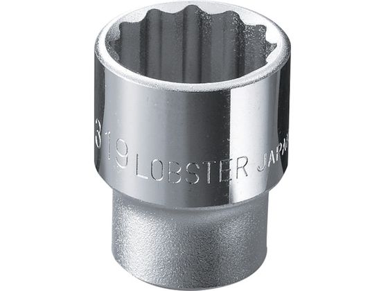 エビ ソケット 12角 19.0mm 差込角9.5mm LM319 エビ ソケット 12角 19.0mm 差込角9.5mm LM319