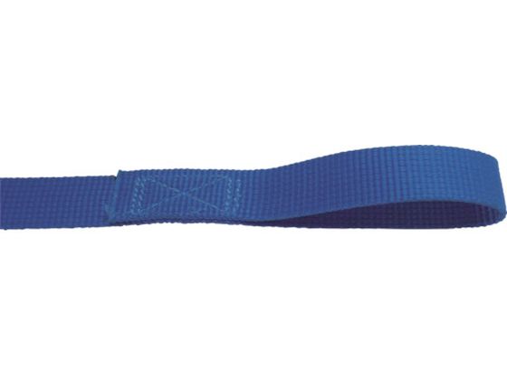 TESAC ラッシングベルト(ベルト荷締機)ラチェットバックル式アイタイプ