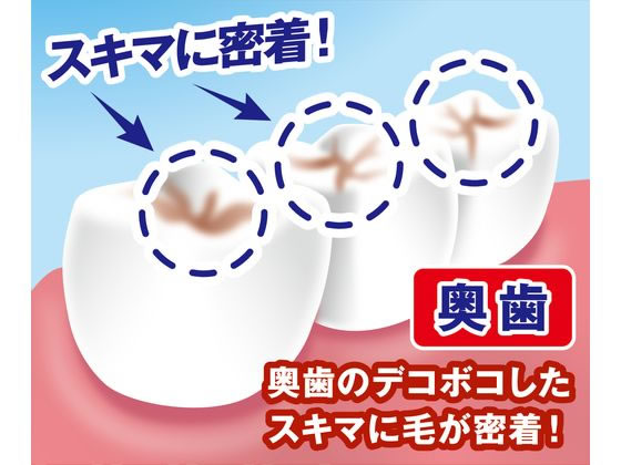 デンタルプロ ブラックダイヤプラス 奥歯フィットケア ワイド ふつう ハブラシ ブラックダイヤプラス奥歯フィットケア ワイド: ヘルス・ビューティー