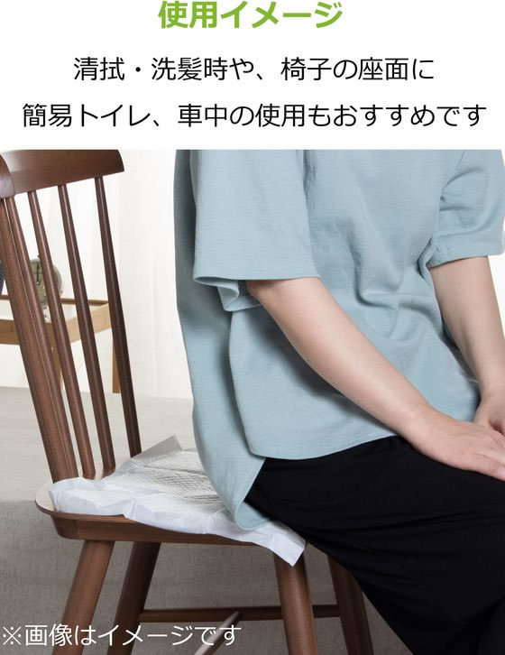 ストリックスデザイン 敷いて安心 吸水エチケットシート ミニ20P×30 SK