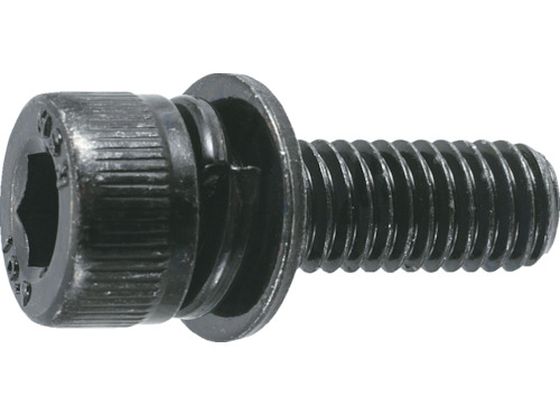 TRUSCO 六角穴付組込ボルト 三価黒I-3 サイズM3×15 10本入 B877-0315 TRUSCO 六角穴付組込ボルト 三価黒I-3 サイズM3×15 10本入 B877-0315