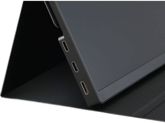 アイリスオーヤマ ポータブルモニター 18.5inch DP-EF184S-Bが