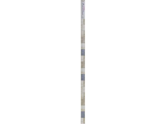 アサヒペン メイクアップシート 90cm×2m W2-12