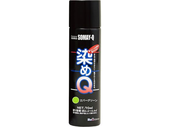 染めQテクノロジィ 染めQ エアゾール 70mL エバーグリーン