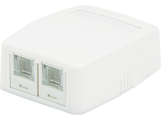 パンドウイット CAT5Eスプリングシャッター付ローゼットキット 2個口 白