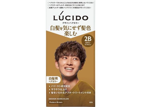 マンダム ルシード デザインヘアカラー モダンブラウン 2B