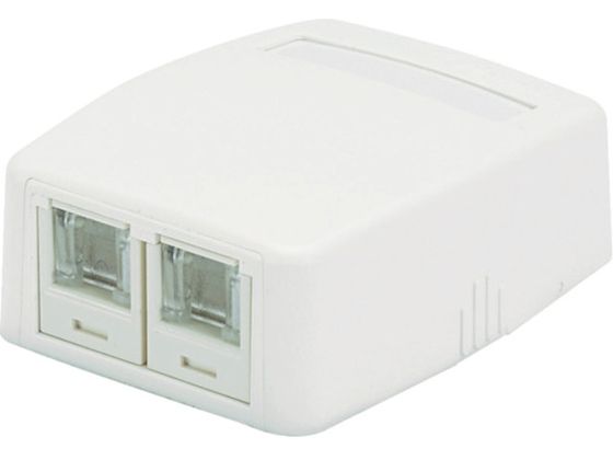 パンドウイット CAT6Aスプリングシャッター付ローゼットキット 2個口 白