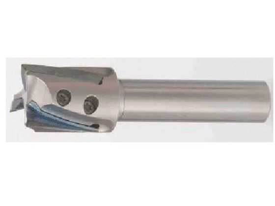 タンガロイ 柄付TACミル EPH11R010M06.0-2 7035268が24,843円