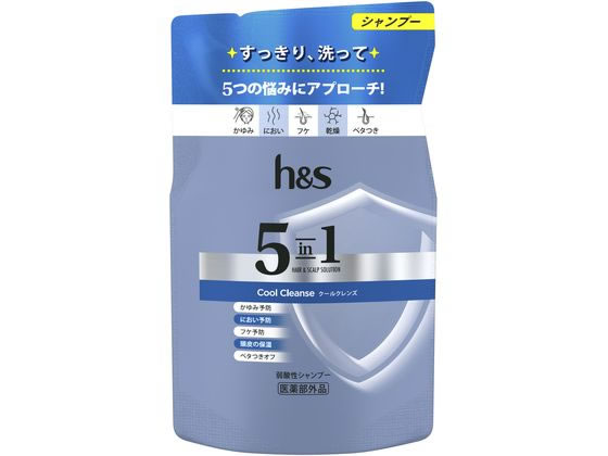 P&G h&s 5in1 N[NYVv[  290g