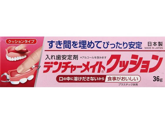 共和 デンチャーメイトクッション 36G【管理医療機器】
