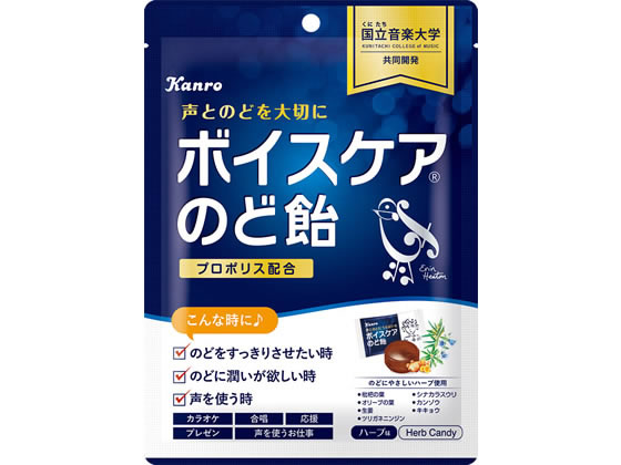 カンロ ボイスケアのど飴 70g カンロ ボイスケアのど飴 70g