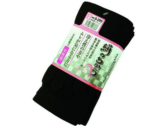 �����ӂ���� ���̂����� �w�l 5�{�w �u���b�N 3���g