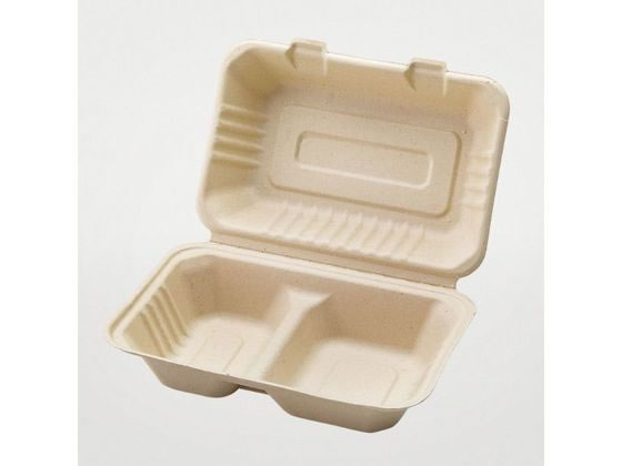 パックスタイル バガス容器 BBランチ 240-150-2 50枚