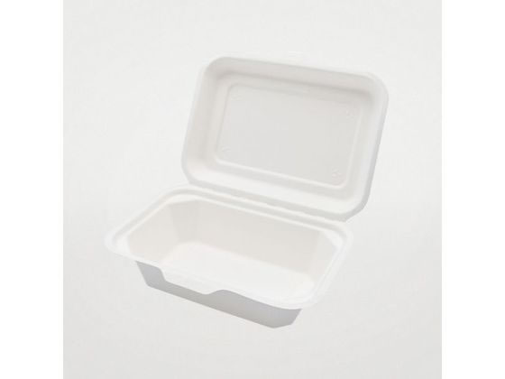 パックスタイル バガス容器 ABランチ 180-130 50枚