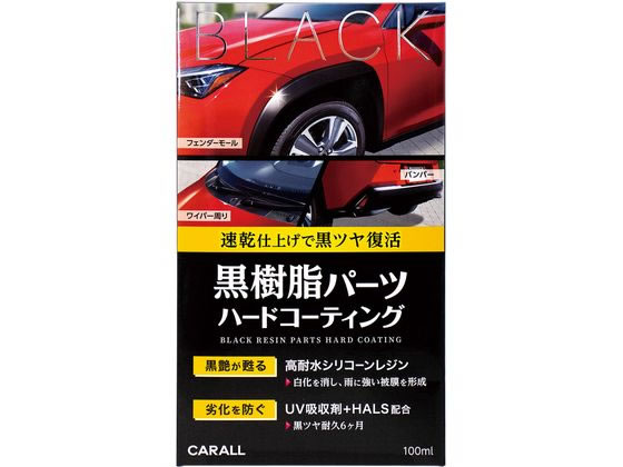 晴香堂 黒樹脂パーツハードコーティング 2134