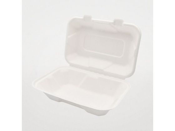 パックスタイル バガス容器 新ABランチ 220-150 50枚