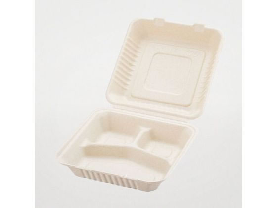 パックスタイル バガス容器 新BBランチ 230-230-3 50枚